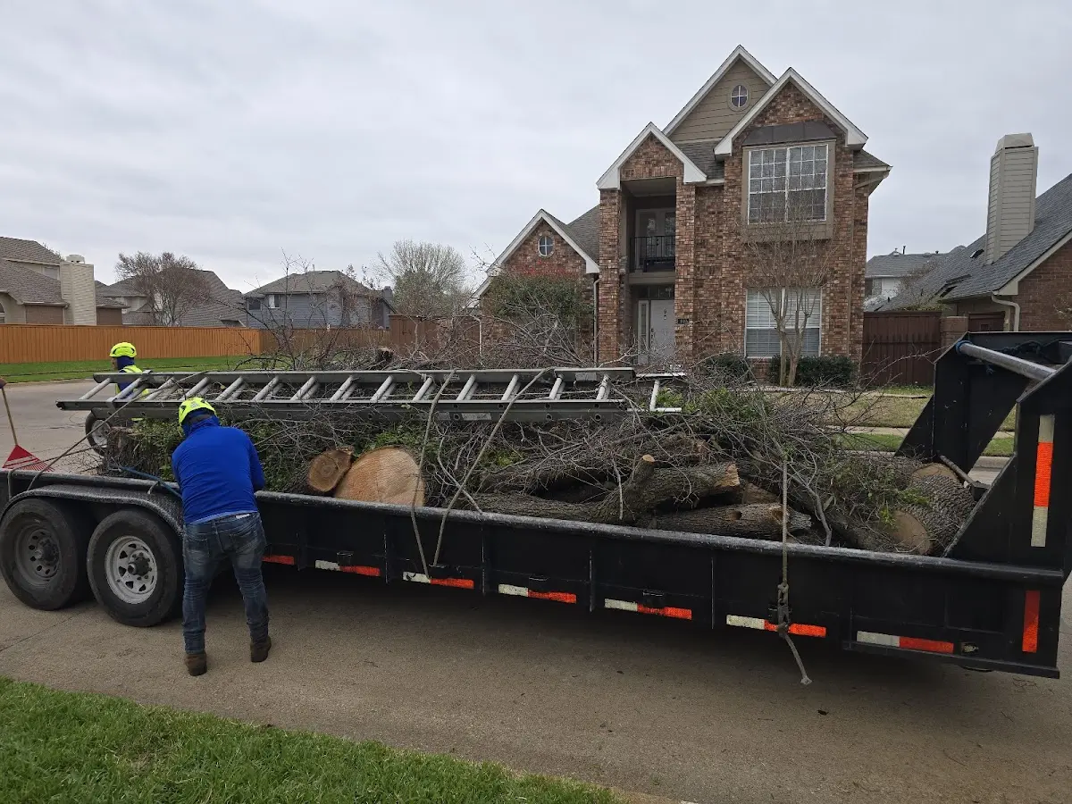 Expert Tree Pest Control with proper safety equipment in Terreton